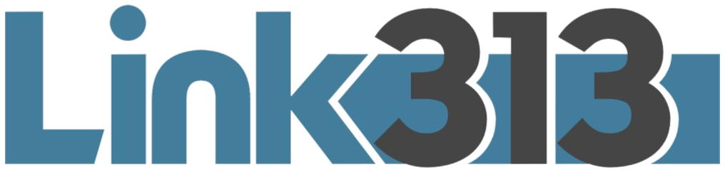 Link313
